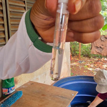 Mutirão contra chikungunya encontra diversos focos do mosquito na Reserva Indígena