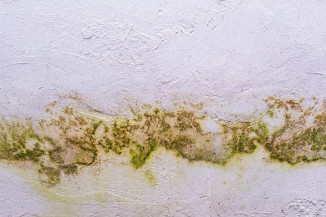 Retrabalho em obra: quanto a infiltração pode custar?