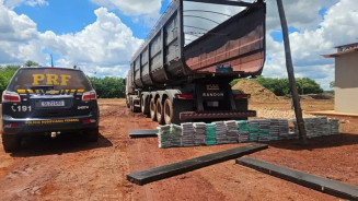 Cocaína apreendida em carga de minério (Foto: Divulgação)