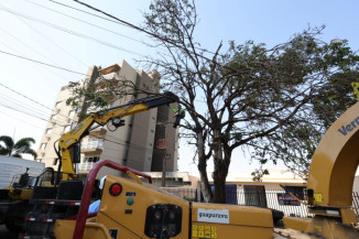 Trabalhos acontecem em frentes de supressão, plantio e destoca e modificam as condições arbóreas do município- Assecom/ Arquivo
