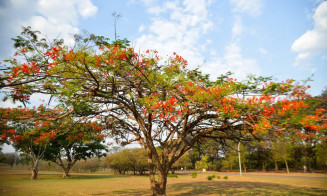 Outono começa sexta e será marcado por calor e pouca chuva em MS