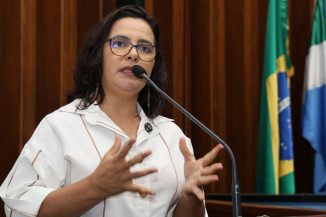 Segundo Gleice Jane, o pedido foi protocolado no início de março, mas ainda não avançou na Casa - Foto: Luciana Nassar