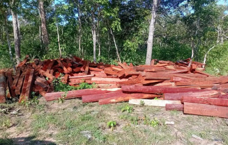 Pedaços de madeira apreendidos pelo Ibama no território Kadiwéu (Foto: Divulgação)