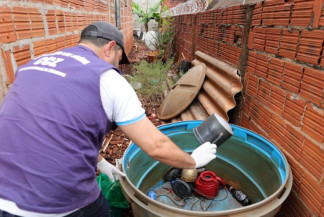 Instalação de armadilhas avança nos pontos críticos de Dourados e expectativa é conter a proliferação do mosquito. Foto: A. Frota