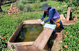 Agentes de controle de endemia estão atuando na Reserva Indígena de Dourados para conter o avanço da Chikungunya. Foto: A. Frota