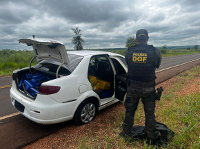 DOF apreende 700 kg de maconha após perseguição e prende motorista