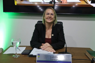 Liandra em Sessão Ordinária na Câmara. (Crédito: Nicolas Rocha/CMD)