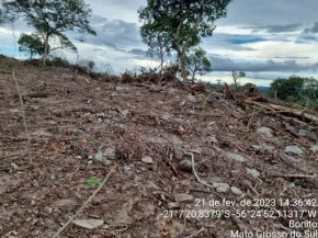Foto de área desmatada anexada ao laudo do Imasul (Foto: Reprodução)