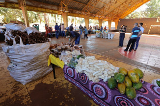 PAA Indígena ultrapassa 100 toneladas e reforça alimentação nas aldeias de Dourados