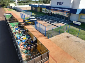 Após a pesagem, foi constatado o total de 12.640 quilos do entorpecente. - Foto: PRF