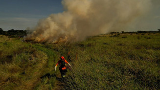 Fotos: Ewerton Pereira/Secom-MS