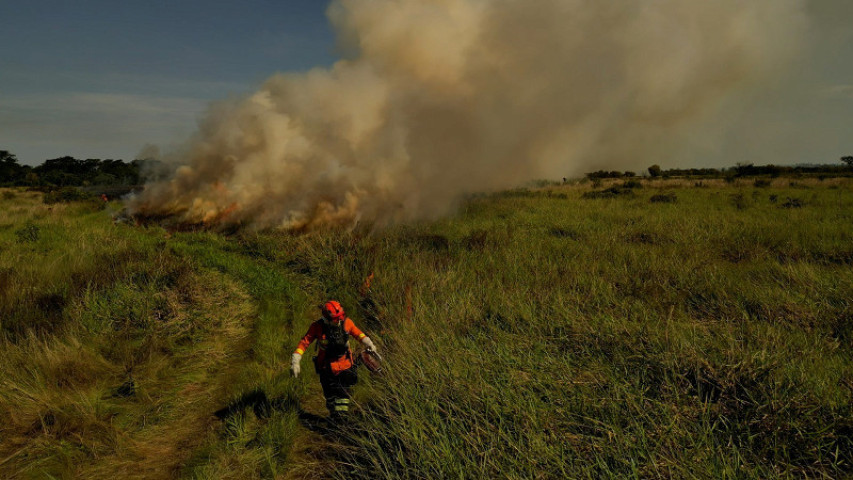 Fotos: Ewerton Pereira/Secom-MS