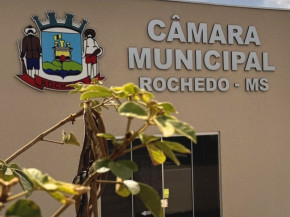 MPMS recomenda anulação de eleição antecipada da Mesa Diretora da Câmara de Rochedo