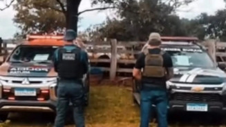 Polícia recupera 64 cabeças de gado furtadas e prejuízo passa de R$ 130 mil em MS