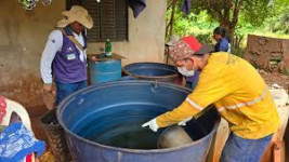 Chikungunya perde força em Dourados e casos caem 86% após pico