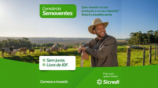 Sicredi Centro-Sul MS/BA intensifica consórcio de semoventes para o segmento agropecuário