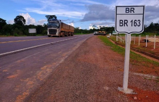 Motorista morre após caminhão atingir anta na BR-163 em Bandeirantes