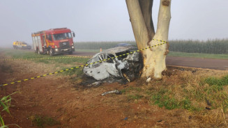 Carro ficou completamente destruído devido ao impacto com a árvore; Fotos: Sidnei Bronka/Ligado Na Notícia Gr