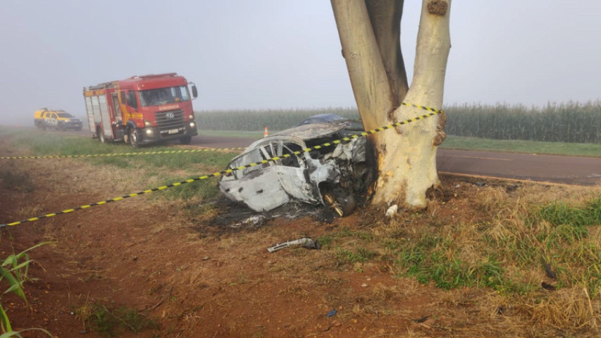 Carro ficou completamente destruído devido ao impacto com a árvore; Fotos: Sidnei Bronka/Ligado Na Notícia Gr