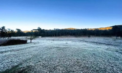 Onda de frio derruba temperaturas e provoca geada em 12 cidades de MS