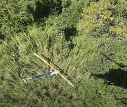 Avião interceptado visto por cima. (Foto: Reprodução/PMSP).