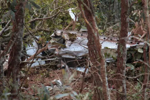 Destroços da aeronave em meio à mata (Foto: Juliano Almeida/Campo Grande News)