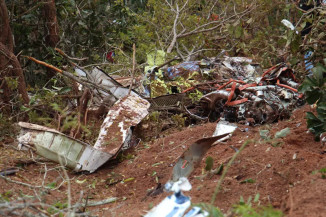 Destroços de avião em área de mata próximo ao Aeroporto Santa Maria (Foto: Juliano Almeida/Campo Grande News)