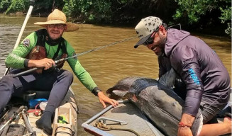 Redes sociais do mazafishing exibe captura de grandes espécies no rio Dourados - Foto: mazafishing