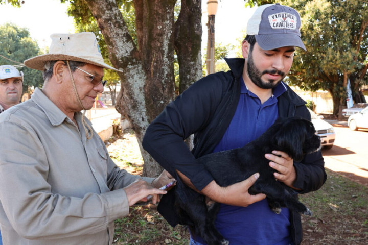Nesta etapa expectativa é vacinar em média mil animais e depois as ações seguirão inclusive com diversos pontos de imunização na cidade, a partir do mês que vem- Foto: A. Frota/ Arquivo