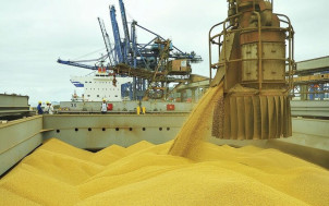 Tarifa dos EUA atingirá 36,5% das exportações do agro brasileiro