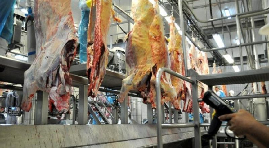lta foi impulsionada pelo complexo frigorífico, que compensou a queda nas vendas de celulose e papel - Foto: Arquivo