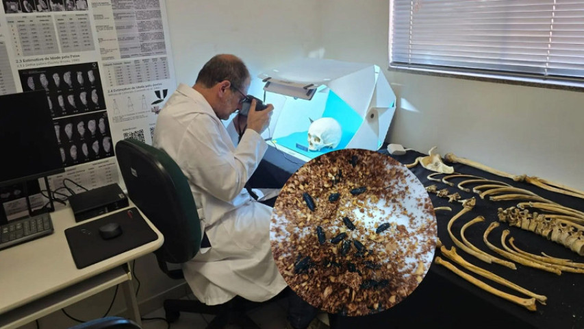 A pesquisa foi realizada pelo perito médico-legista Guido Vieira Gomes, chefe do Núcleo Regional de Medicina Legal de Dourados. (Foto: Divulgação)