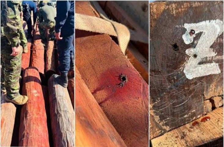 Havia suspeita que pudesse haver cocaína em estado líquido na madeira apreendida - Foto: Divulgação