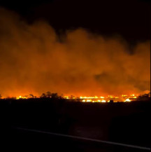 Fogo avança em área rural e mobiliza bombeiros na entrada de Bela Vista
