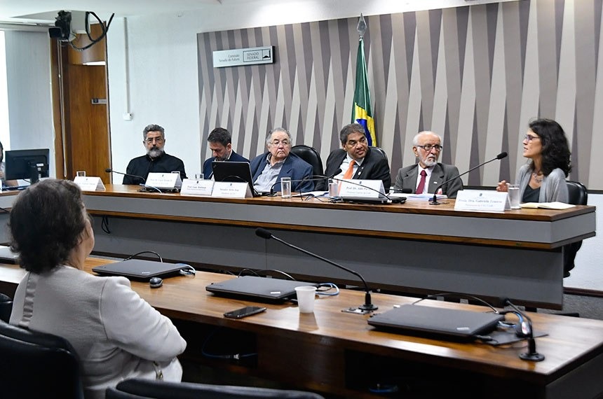 A professora Gabriela Tenório fala em audiência presidida por Hélio José (4º à esq.)
Agência Senado