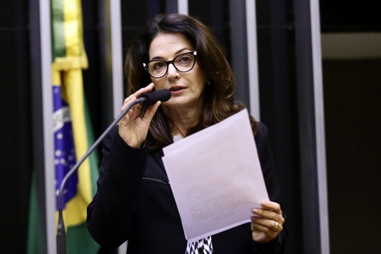 Michel Jesus/Câmara dos DeputadosNorma Ayub: o déficit habitacional no Brasil ainda é um desafio